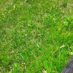 Meet your Posher, Kendra